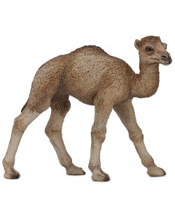 Фигурка Papo Wild Animal Kingdom – Малка едногърба камила