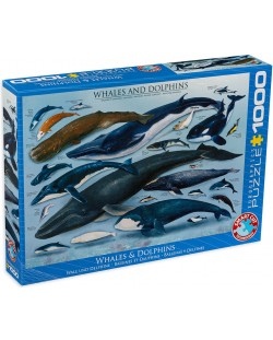 Пъзел Eurographics от 1000 части – Китове и Делфини