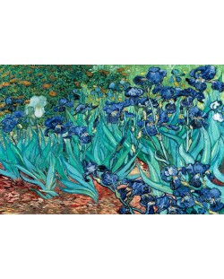 Плакат Pyramid Art: Van Gogh - Les Irises