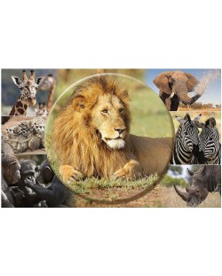 Подложка за бюро Herma - Африкански животни