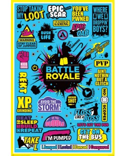 Макси плакат Pyramid Games: Battle Royale - Infographic