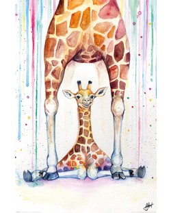 Макси плакат Pyramid Art: Marc Allante - Gorgeus Giraffes