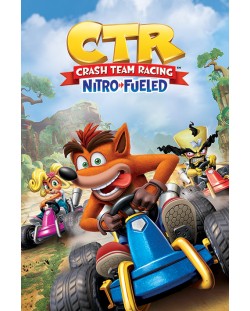 Макси плакат Pyramid Games: Crash Bandicoot - Race