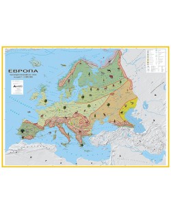 Природогеографски зони: Стенна карта на Европа (1:5 000 000)