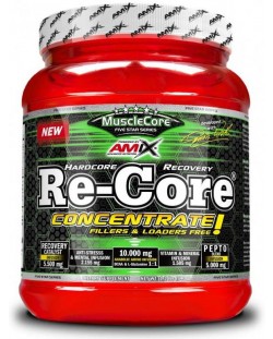 Re-Core Concentrated, плодов пунш, 540 g, Amix