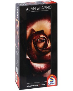 Панорамен пъзел Schmidt от 1000 части - Ценна роза, Алън Шапиро