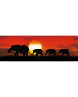 Слим плакат Pyramid - Sunset Elephants