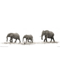 Слим плакат Pyramid - Mario Moreno (The Elephants)
