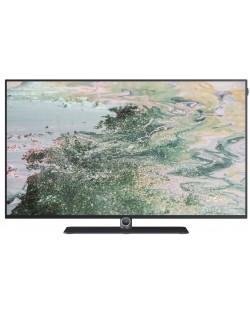 Смарт телевизор Loewe - Bild i.55 dr+, 55'', OLED, 4K, сив