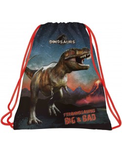 Спортна торба Derform Dinosaur 17