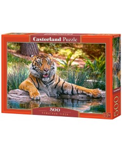 Пъзел Castorland от 500 части - Суматрански тигър