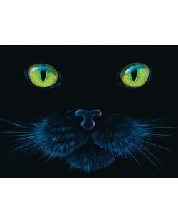 Пъзел SunsOut от 1000 части - Черна котка, Чарлс Лин Браг