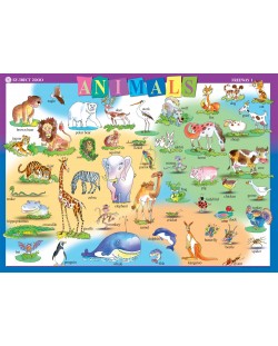Animals: Табло по английски език "Freeway" - 2. клас