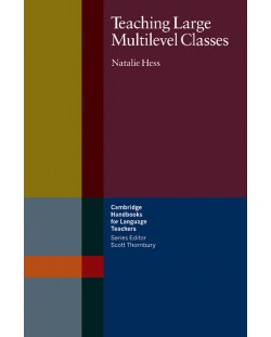 Teaching Large Multilevel Classes