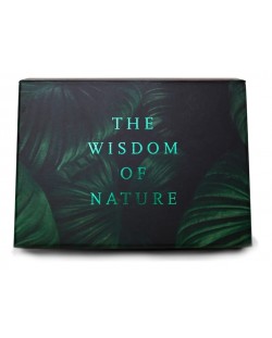 Комплект карти The School of Life - The Wisdom of Nature