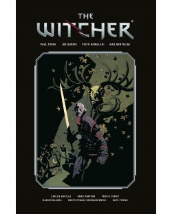 The Witcher Library Edition, Vol. 1