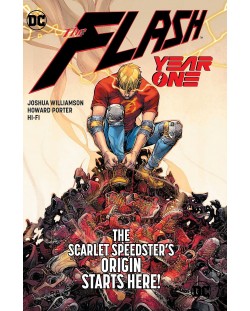 The Flash: Year One