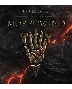 The Elder Scrolls Online: Morrowind Collector's Edition (PS4)