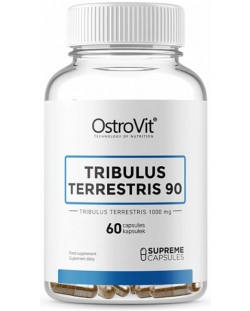 Tribulus Terrestris 90, 1000 mg, 60 капсули, OstroVit