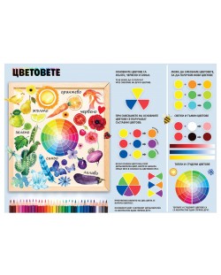 Цветовете: Учебно табло по изобразително изкуство за 3. клас. Учебна програма 2023/2024 (Рива)