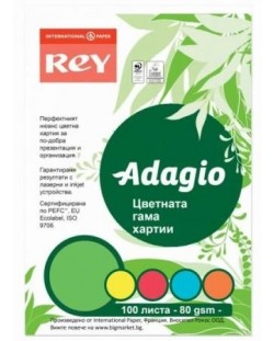 Цветна копирна хартия Rey Adagio - Микс, А4, 80 g 100 листа