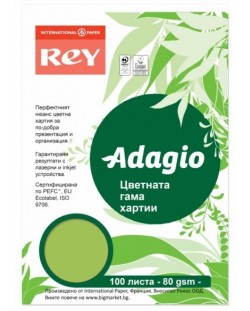 Цветна копирна хартия Rey Adagio - Spring Green, A4, 80 g, 100 листа