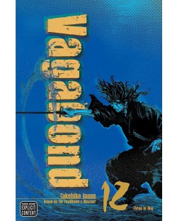 Vagabond, Vol. 12