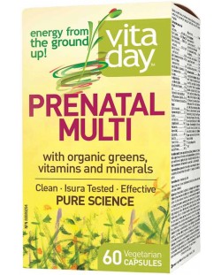 Vitaday Prenatal Multi, 60 капсули, Natural Factors