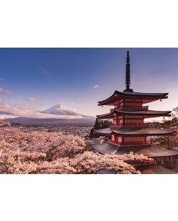 Плакат XL Pyramid Art: Photo - Mount Fuji Blossom