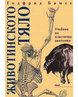 Животинското тяло: Учебник по пластична анатомия (твърди корици)