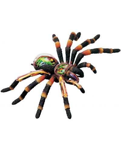 Сглобяем модел на паяк Revell - Tarantula Anatomy Model (02097)