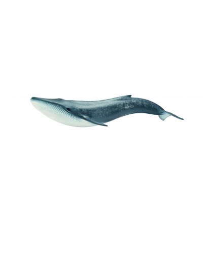 Фигурка Schleich от серията Дивия живот - Океан: Син кит - 1