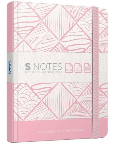 Тетрадка Gipta S-notes, 120 листа, асортимент - 2