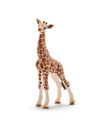 Фигурка Schleich от серията Дивия живот - Африка: Жираф мрежест - бебе - 1