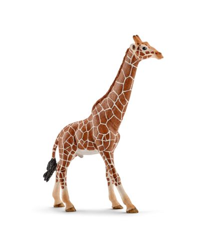 Фигурка Schleich от серията Дивия живот - Африка: Жираф мрежест - мъжки - 1