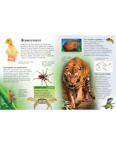 Първа илюстрована енциклопедия: Животните - 3