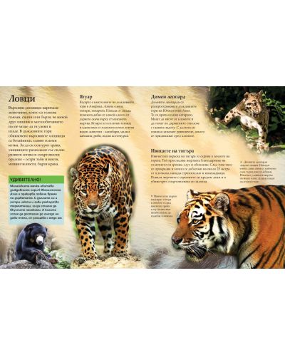 Първа илюстрована енциклопедия: Животните - 5