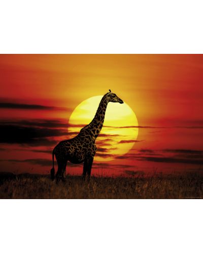 Пъзел Heye от 1000 части - Слънчев жираф, Слънчева светлина - 2