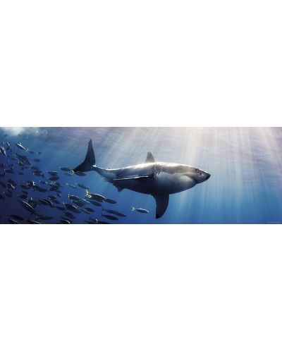 Пъзел Heye от 1000 части - Бяла акула, Александър фон Хумболт - 2