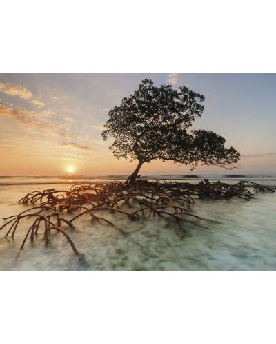 Пъзел Heye от 1000 части - Червено мангрово дърво, Александър фон Хумболт - 2