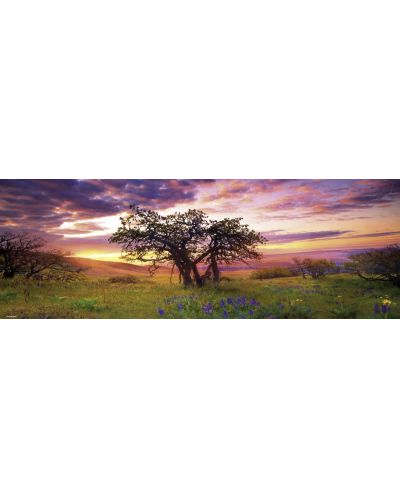 Панорамен пъзел Heye от 2000 части - Дъбово дърво, Александър фон Хумболт - 2