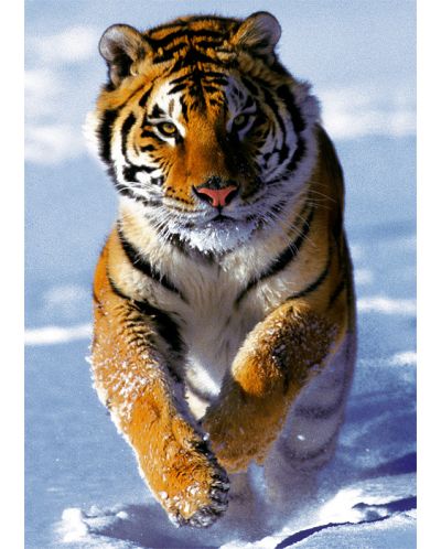 Пъзел Trefl от 500 части - Сибирски тигър - 2