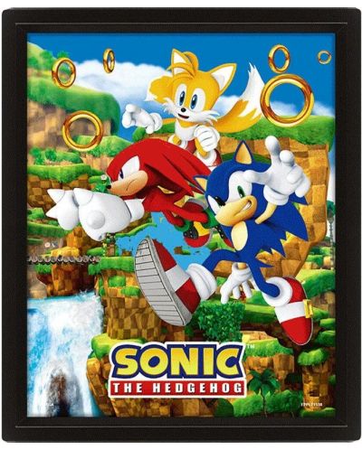 3D плакат с рамка Pyramid Games: Sonic - Sonic (Catching Rings) - 1