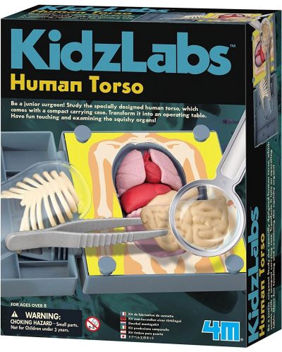 Образователен комплект 4M KidzLabs - Анатомия на човешкото тяло - 1
