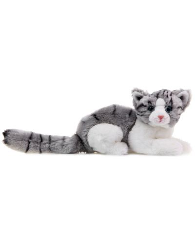 Котето Елиза