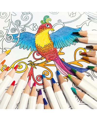Комплект цветни моливи Primo - Minabella, 12 цвята - 3