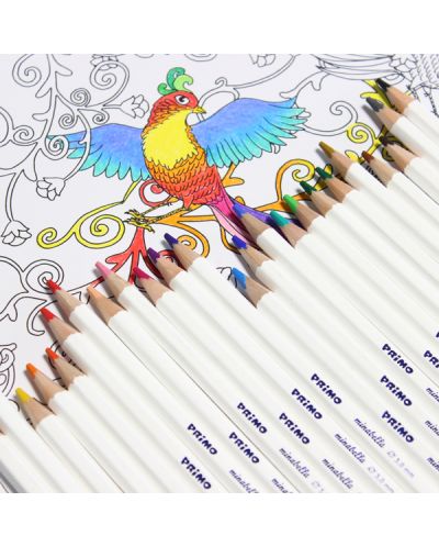 Комплект цветни моливи Primo Minabella - Шестоъгълни, 24 цвята - 3
