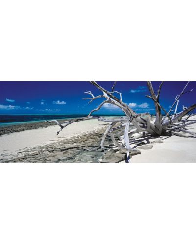 Панорамен пъзел Schmidt от 136 части - Зеления остров, Куинсланд , Австралия, Марк Грей - 2