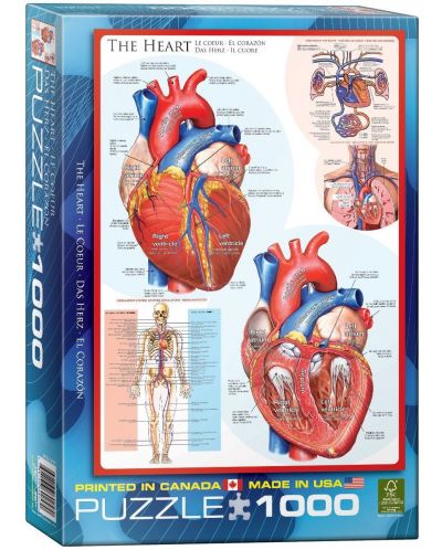 Пъзел Eurographics от 1000 части – Човешкото тяло, Сърце - 1