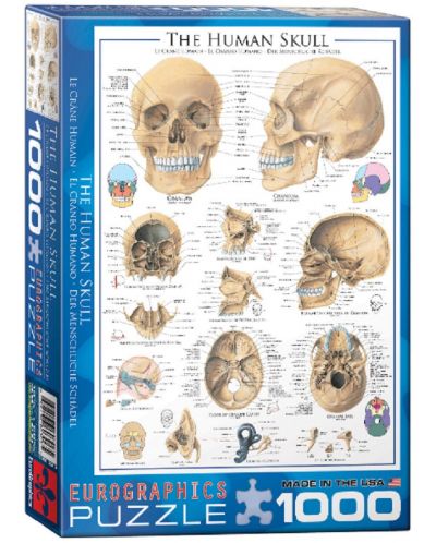 Пъзел Eurographics от 1000 части – Човешки череп - 1